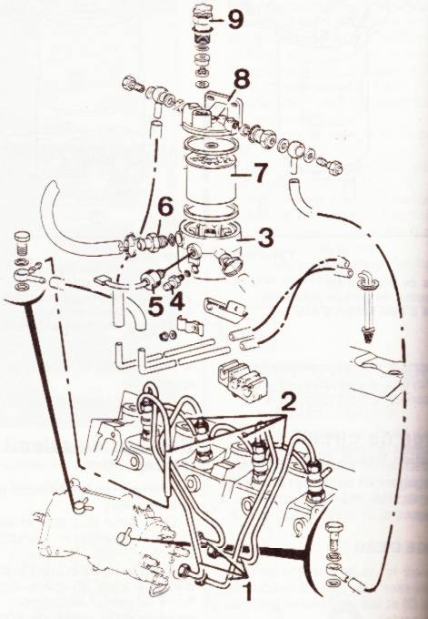 Repr�sent�e � 30% de sa taille r�elle, vous pouvez zoomer !